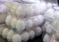 Росстат: цена на куриные яйца выросла на 36,6%