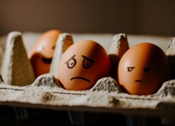 Экономист сделал неутешительный прогноз по ценам на яйца
