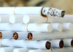 Госдума запретила гражданам перевозить более одного блока сигарет