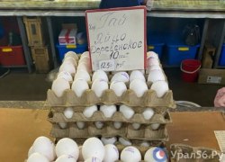 Основная часть импортных яиц не попала в российские магазины. Почему?